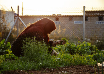 CONFLITTI, COVID E CAMBIAMENTI CLIMATICI AFFAMANO IL MONDO.