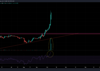 È troppo tardi per comprare azioni Renren lunedì?