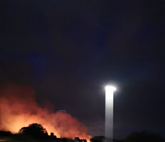 Incendi, a fuoco canneti lago di Massaciuccoli