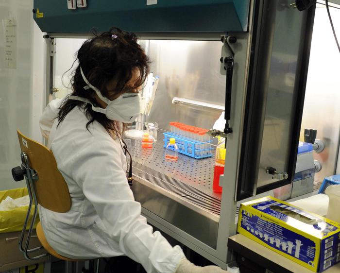 Influenza, isolato in un bambino il primo caso in Piemonte