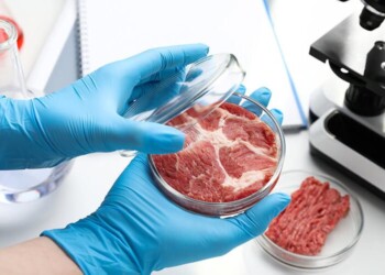 È inaccettabile che l’Ue finanzi con risorse pubbliche il business privato della “carne sintetica” in provetta dietro il quale si nascondono rilevanti interessi economici