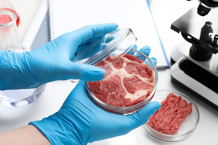 È inaccettabile che l’Ue finanzi con risorse pubbliche il business privato della “carne sintetica” in provetta dietro il quale si nascondono rilevanti interessi economici