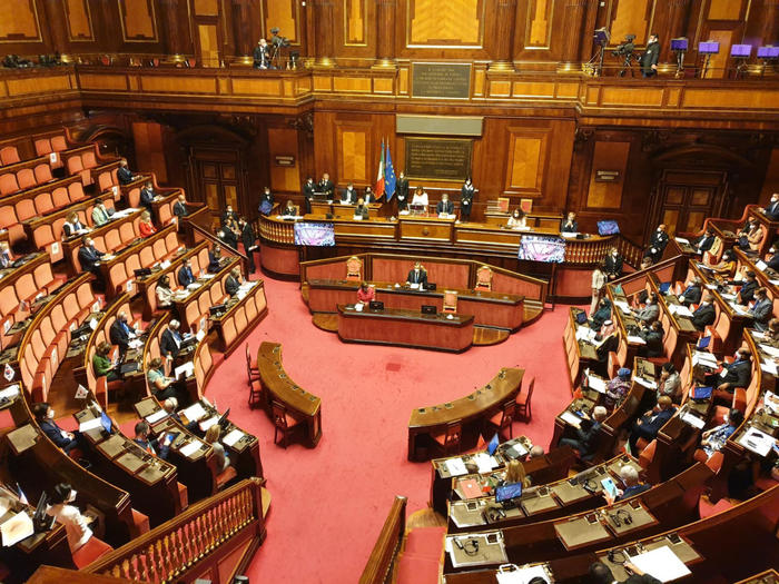 Malattie rare: Parente, approvato il testo unico