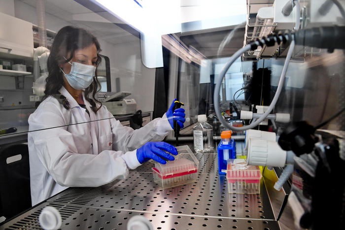 Scoperta la causa di una specifica forma di autismo