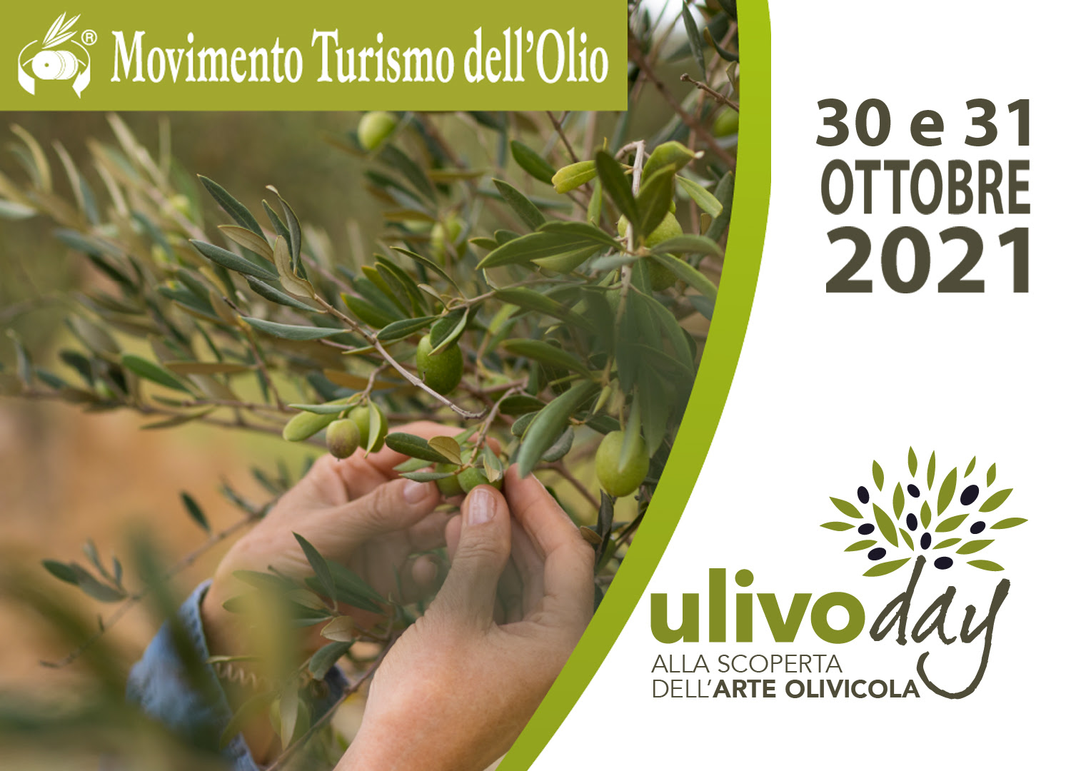 Movimento Turismo dell’Olio: al via la 1^ edizione di Ulivo Day
