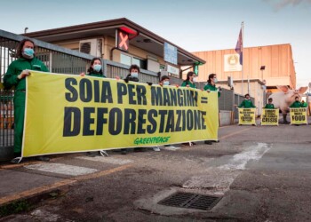 GREENPEACE IN AZIONE NEL PORTO DI RAVENNA: «L’IMPORTAZIONE DI SOIA PER GLI ALLEVAMENTI INTENSIVI DISTRUGGE LE FORESTE»