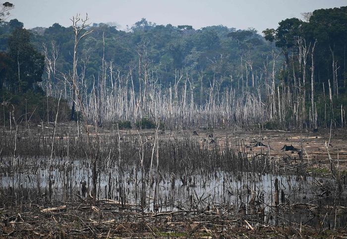 Cop26: Brasile si impegna a ridurre 50% gas serra entro 2030