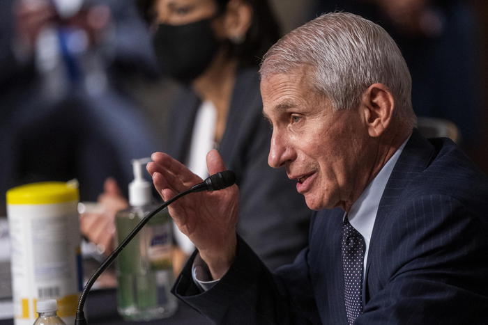 Covid: Fauci, possibile passaggio a stato endemico nel 2022