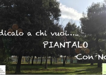 I cittadini doneranno nuovi alberi al Quartiere Annunziata