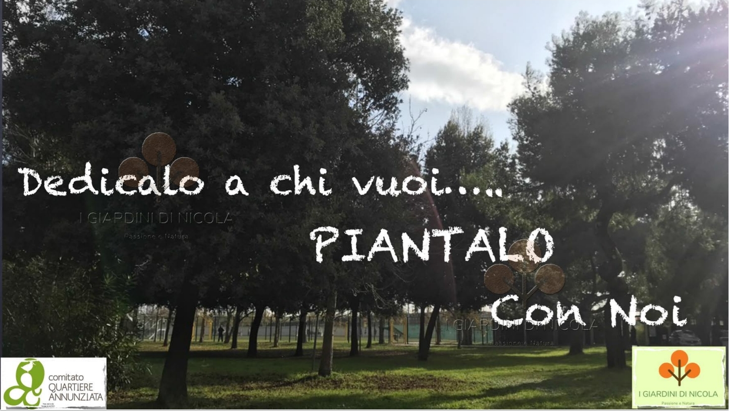 I cittadini doneranno nuovi alberi al Quartiere Annunziata