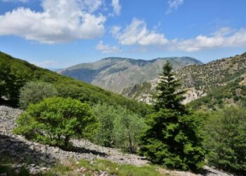 Le Zone Franche Montane costituiscono una misura di politica economica adottabile dal governo siciliano per il rilancio delle zone interne dell'isola