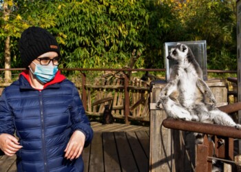 «VORREI PRENDERMI CURA DEGLI ANIMALI» PER CHIARA IL SOGNO SI REALIZZA GRAZIE MAKE-A-WISH® ITALIA
