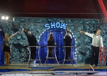 Paolo Orfei presenta il trittico delle meraviglie, il Circo Bellucci con le attrazioni del Circo di Mosca e il Circo Royal