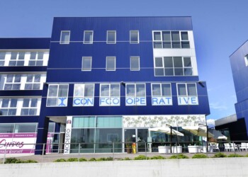 Cooperative, nel 2021 la ripresa c’è stata, ma ancora parziale