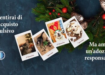 OIPA: «ACQUISTARE UN CUCCIOLO DA REGALARE A NATALE PUÒ ALIMENTARE IL COMMERCIO ILLEGALE»