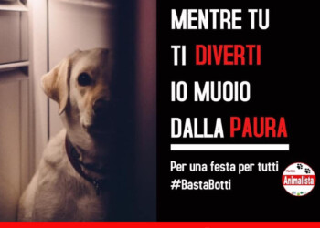 Parte Ufficialmente la Campagna “Basta Botti 2021” da parte del Partito Animalista Italiano per invitare Prefetture e Comuni a Vietare Botti, petardi, in questo fine anno