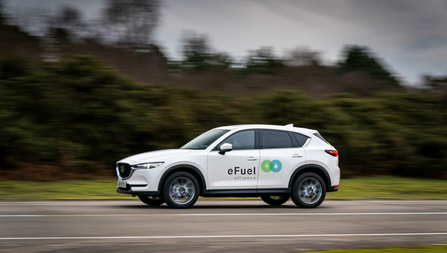 La svolta dei biocombustibili. Ecco perchè è un’occasione da non perdere