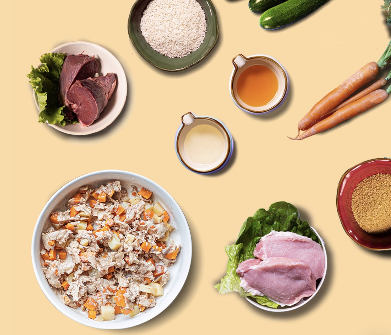 Cani in sovrappeso, i consigli degli esperti per la remise en forme