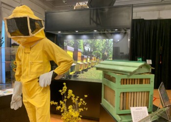 Mostra: “La Via delle Api” dal 4 febbraio al Museo Civico di Zoologia