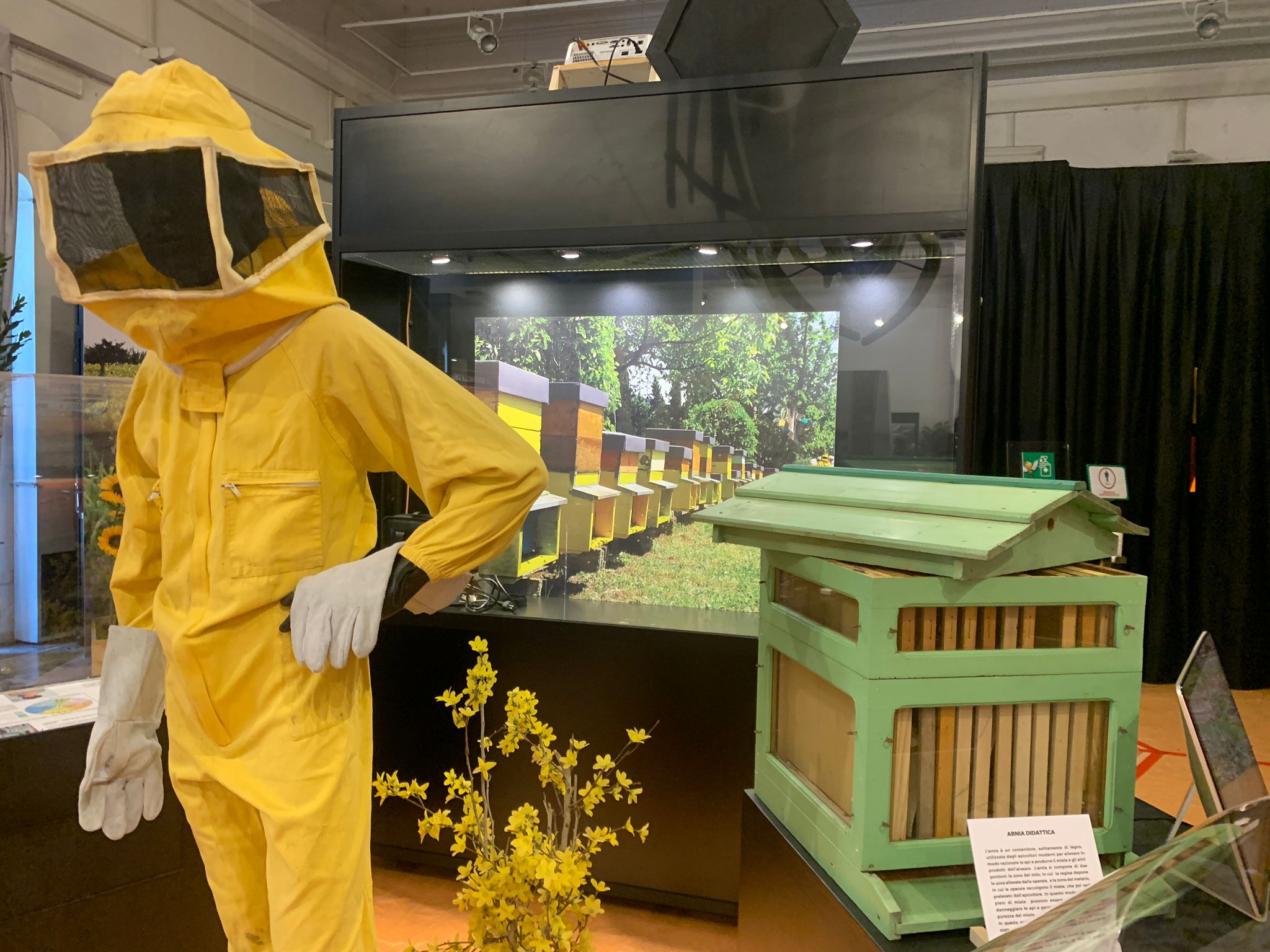 Mostra: “La Via delle Api” dal 4 febbraio al Museo Civico di Zoologia