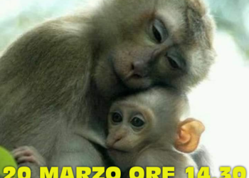 Per non dimenticare i macachi di Parma