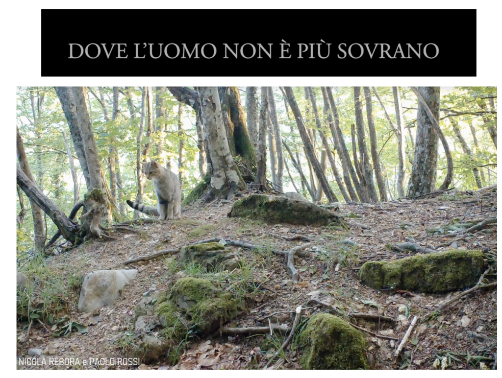 CROWDFUNDING
