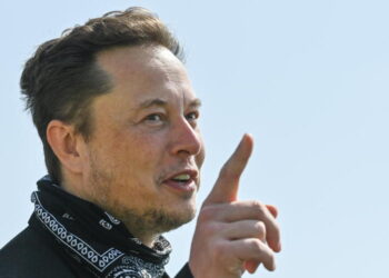 Elon Musk spinge Dogecoin, McDonald’s dovrebbe accettarlo