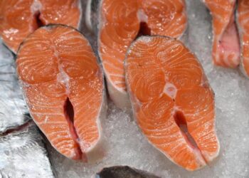 Start-up ‘stampa’ pesce vegetale simile a quello vero