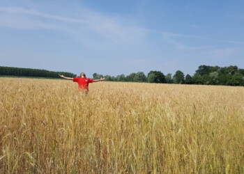 AMBIENTE, LA TUTELA IN COSTITUZIONE È UNA DECISIONE EPOCALE ANCHE PER IL SETTORE PRIMARIO