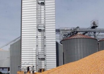 Confagricoltura. Grano, mais e soia: quotazioni ancora in aumento