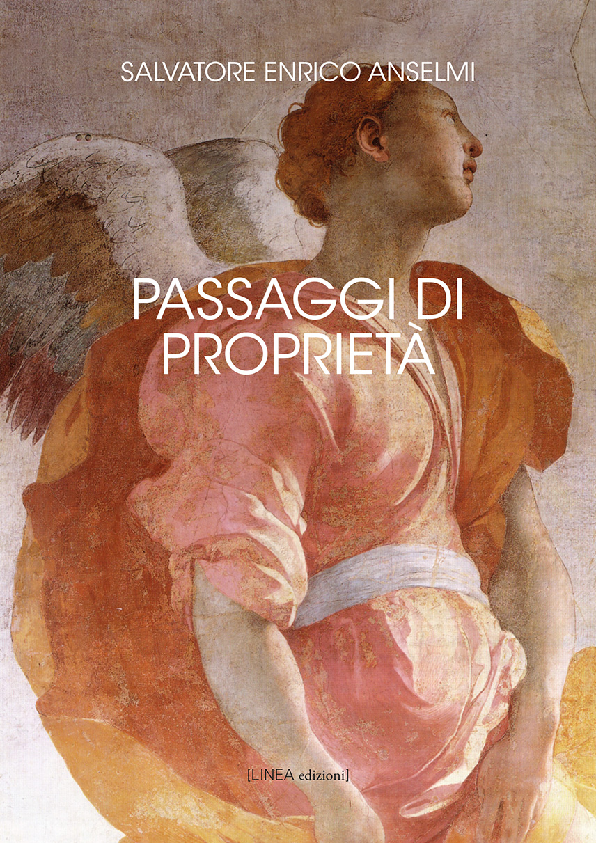 “Passaggi di proprietà” il nuovo romanzo dello scrittore Salvatore Enrico Anselmi