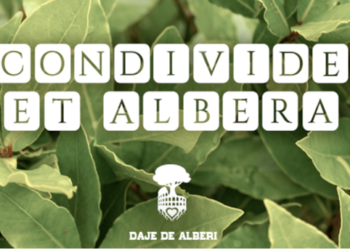 IL PROGETTO “CONDIVIDE ET ALBERA”: 150 NUOVI ALBERI A ROMA GRAZIE ALLA COLLABORAZIONE TRA FONDAZIONE CAPELLINO E DAJE DE ALBERI