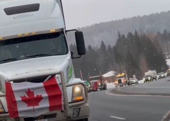 Il Freedom Convoy è “la più grande parata di camion”