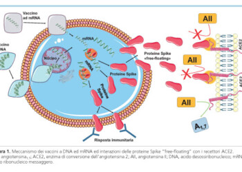 ipertensione e mio-pericardite
