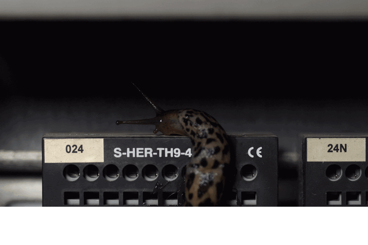 Da febbraio a giugno 2022 in OGR Torino un programma artistico dal respiro internazionale