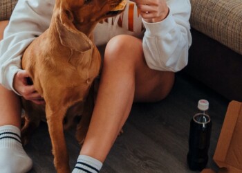 PET CARE: IL SEGRETO PER MANTENERE IL CANE IN FORMA? CAMBIARE LA DIETA (ANCHE) DEL PADRONE