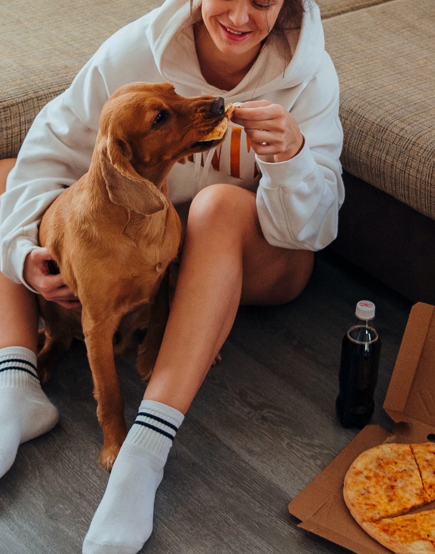 PET CARE: IL SEGRETO PER MANTENERE IL CANE IN FORMA? CAMBIARE LA DIETA (ANCHE) DEL PADRONE