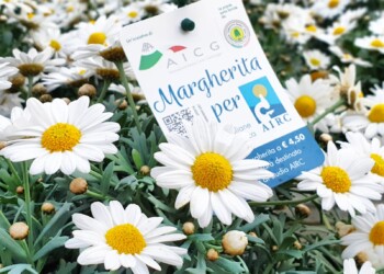 Da nove anni AICG sostiene Fondazione AIRC e la ricerca sul cancro con la margherita solidale italiana 100%