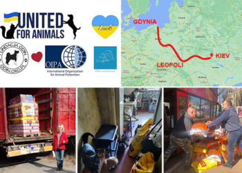 Ucraina. Aiuti dell’Oipa agli animali arrivati a Leopoli e distribuiti all’interno con un’estenuante staffetta