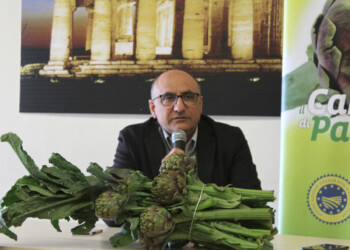 Al via la campagna promozionale 2022 del Carciofo di Paestum IGP