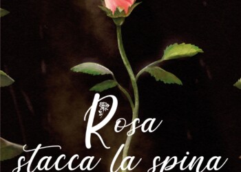 Il romanzo più letto dalle casalinghe è “Rosa stacca la spina”