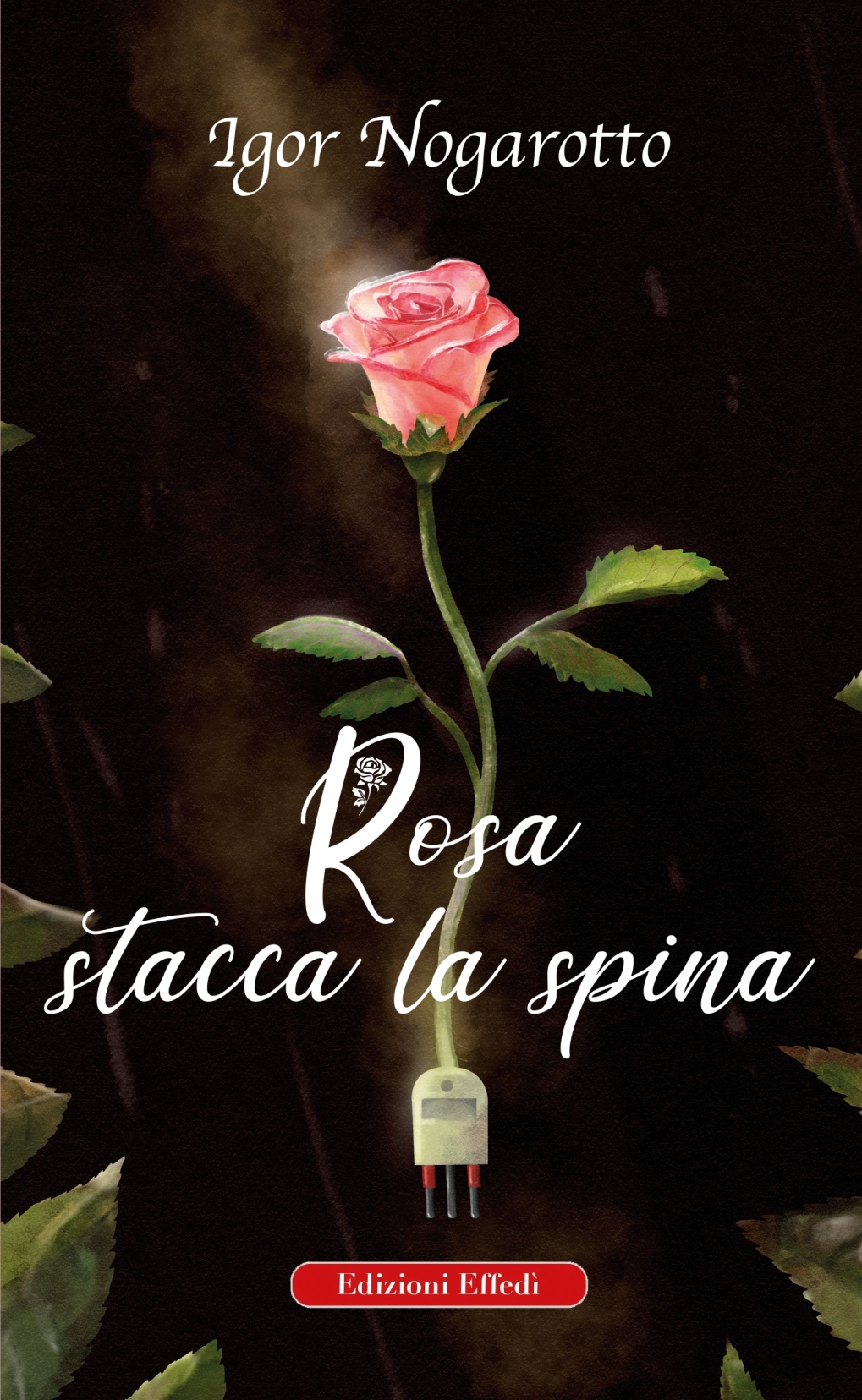 Il romanzo più letto dalle casalinghe è “Rosa stacca la spina”