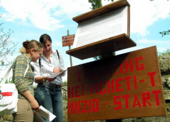 Donne del vino a Vinitaly 2022: “green e con le donne al timone, l’enoturismo italiano riprende slancio”