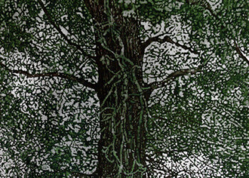 Earth Day – Al Museo delle Mura dal 22 aprile “Ghê Gaia Terra”: 40 artisti a confronto sul rapporto uomo/natura