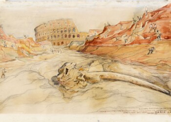 Dall’8 aprile ai Mercati di Traiano la mostra “1932, l’elefante e il colle perduto”