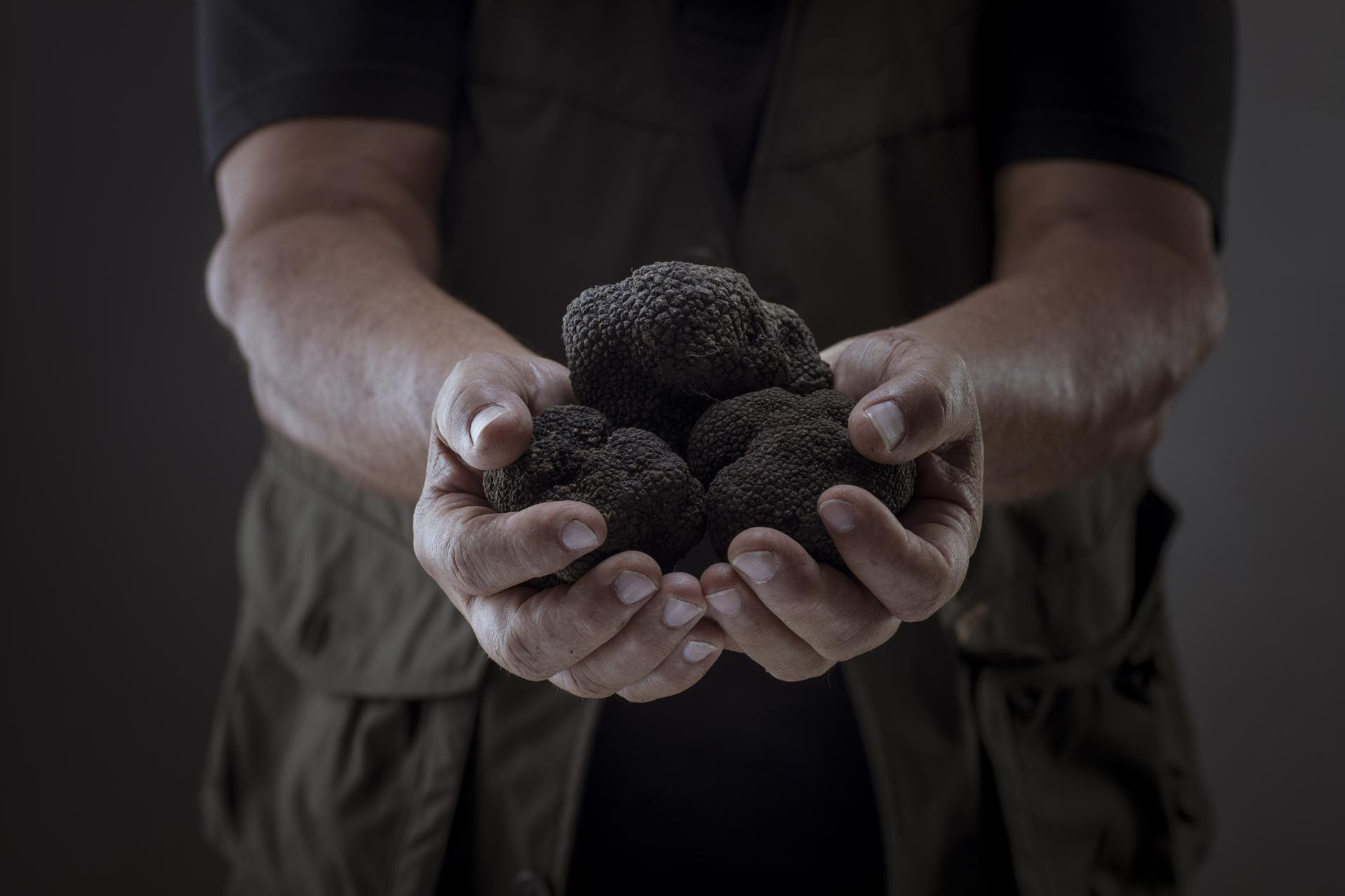 Con Appennino Food Group S.p.A. il “Tartufo è tutto l’anno”