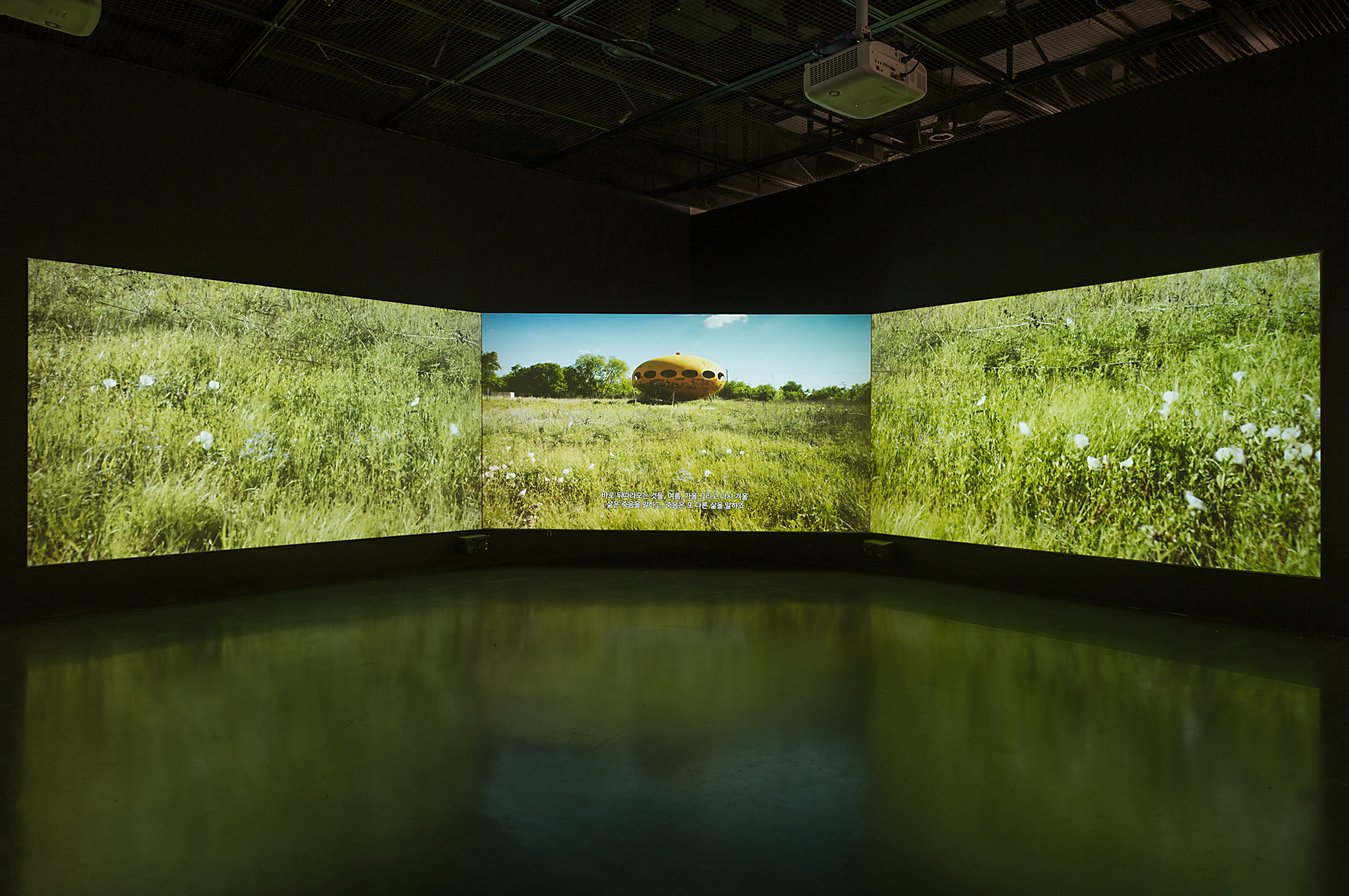 L’artista internazionale Jaye Rhee ospite speciale del Festival del Tempo alla Genova BeDesign Week 2022