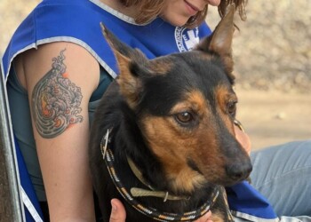 Ucraina, Ceva e Enpa insieme per i pet