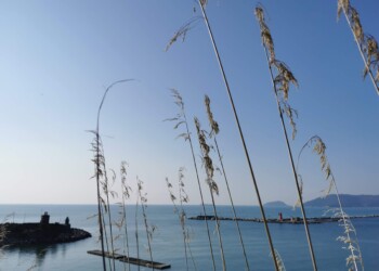 Anche le bioplastiche si degradano lentamente nell’ambiente