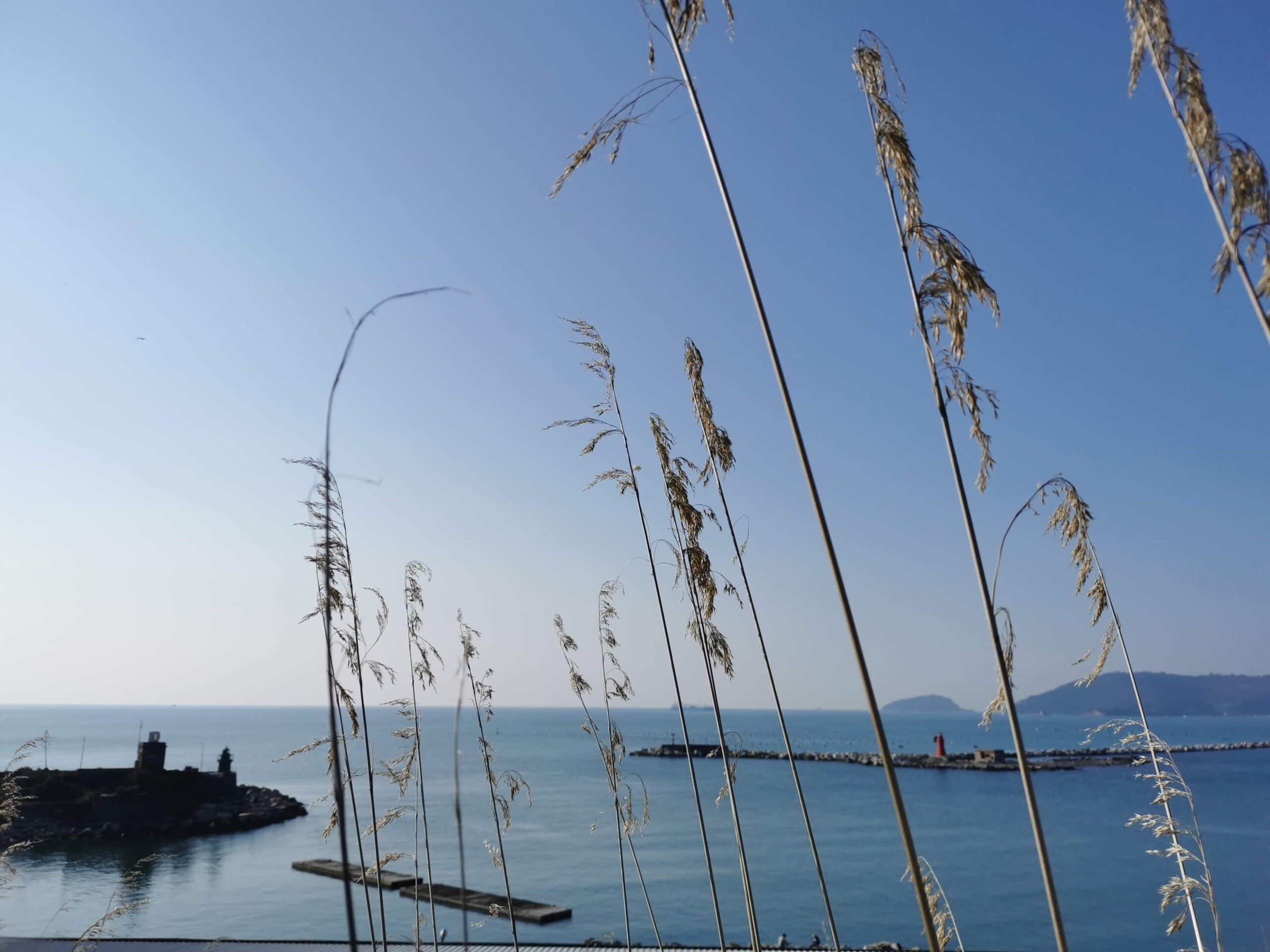 Anche le bioplastiche si degradano lentamente nell’ambiente